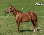 216-success-216D%2CArcy.png
