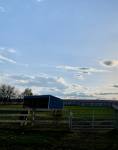 453-PGpasture.jpeg
