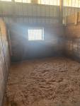 672-ChrissyStall1.jpg