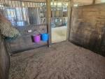 672-ChrissyStall2.jpg
