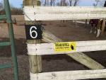 2303-IMG_4982.jpeg