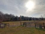 2539-Pasture.jpg