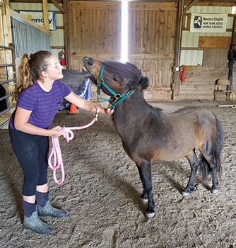 EQUUS Foundation
